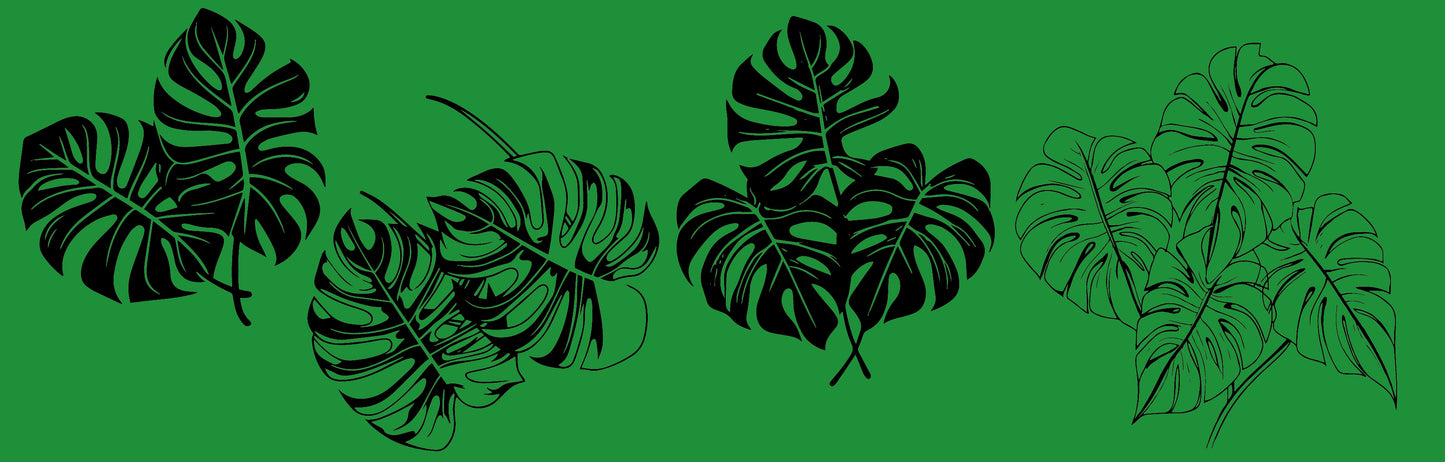 Monstera 2.0 Ceramic Silkscreen Transfer