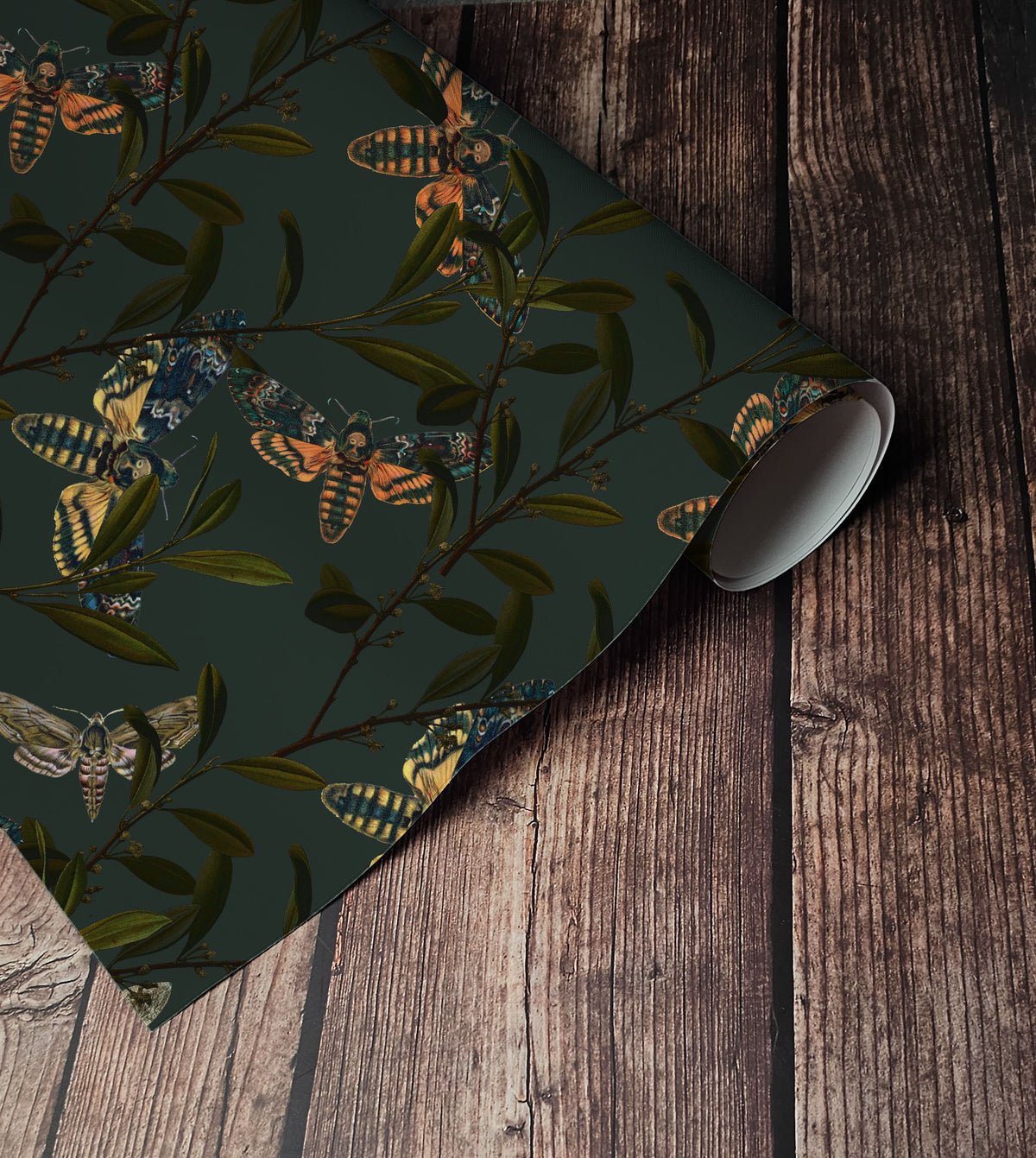 Dark moth wallpaper with vintage death’s-head moths and botanical branches on a deep forest green background up close.