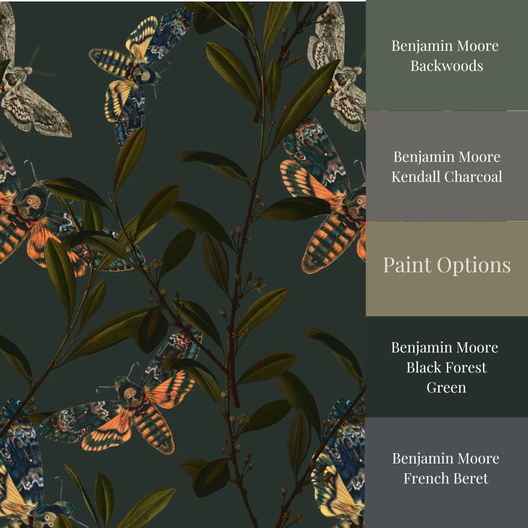 A section of wallpaper with a moth pattern in shades of green, black, and gray,with matching paint colors 'Benjamin Moore Backwoods Charcoal'