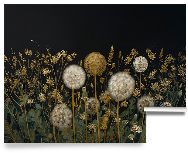 Folk Art Dandelions – Dark Botanical Wallpaper Mural