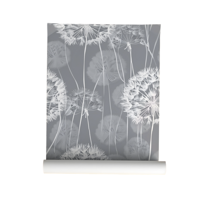 Dandelion Wallpaper