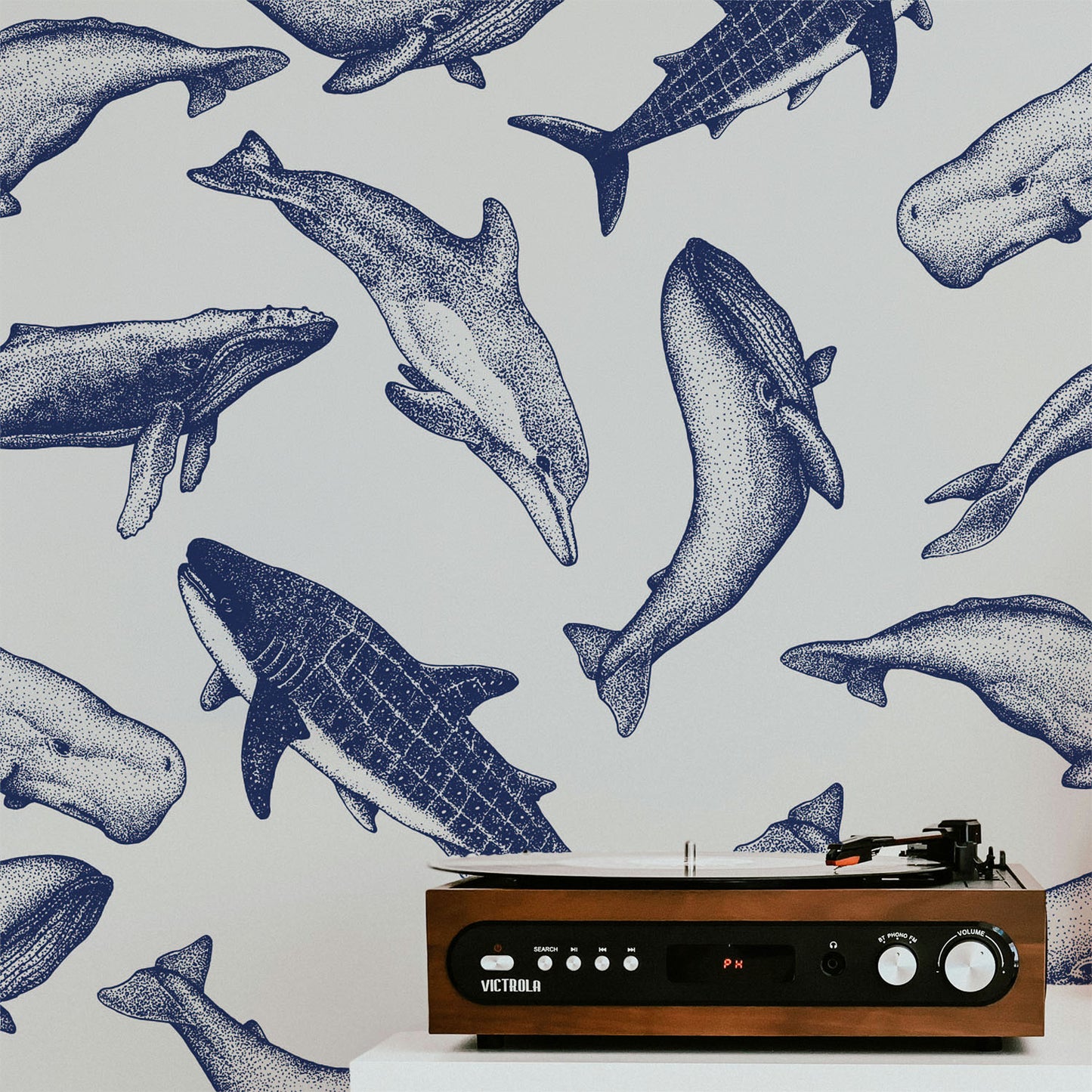 Coastal whale wallpaper with navy blue vintage style whale illustrations on a soft neutral background in a nautical cottage style interior