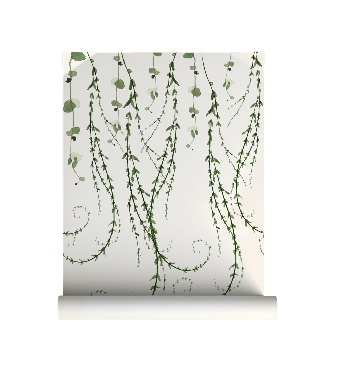 Trailing Vines botanical peel and stick wallpaper with cascading green vines on roll