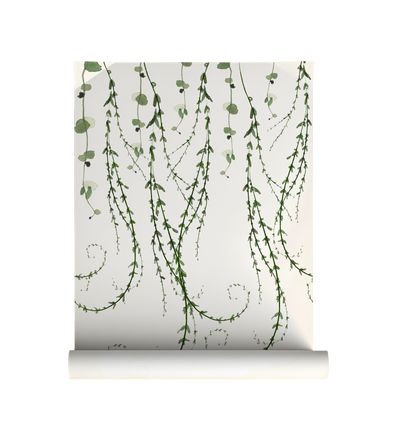Trailing Vines botanical peel and stick wallpaper with cascading green vines on roll