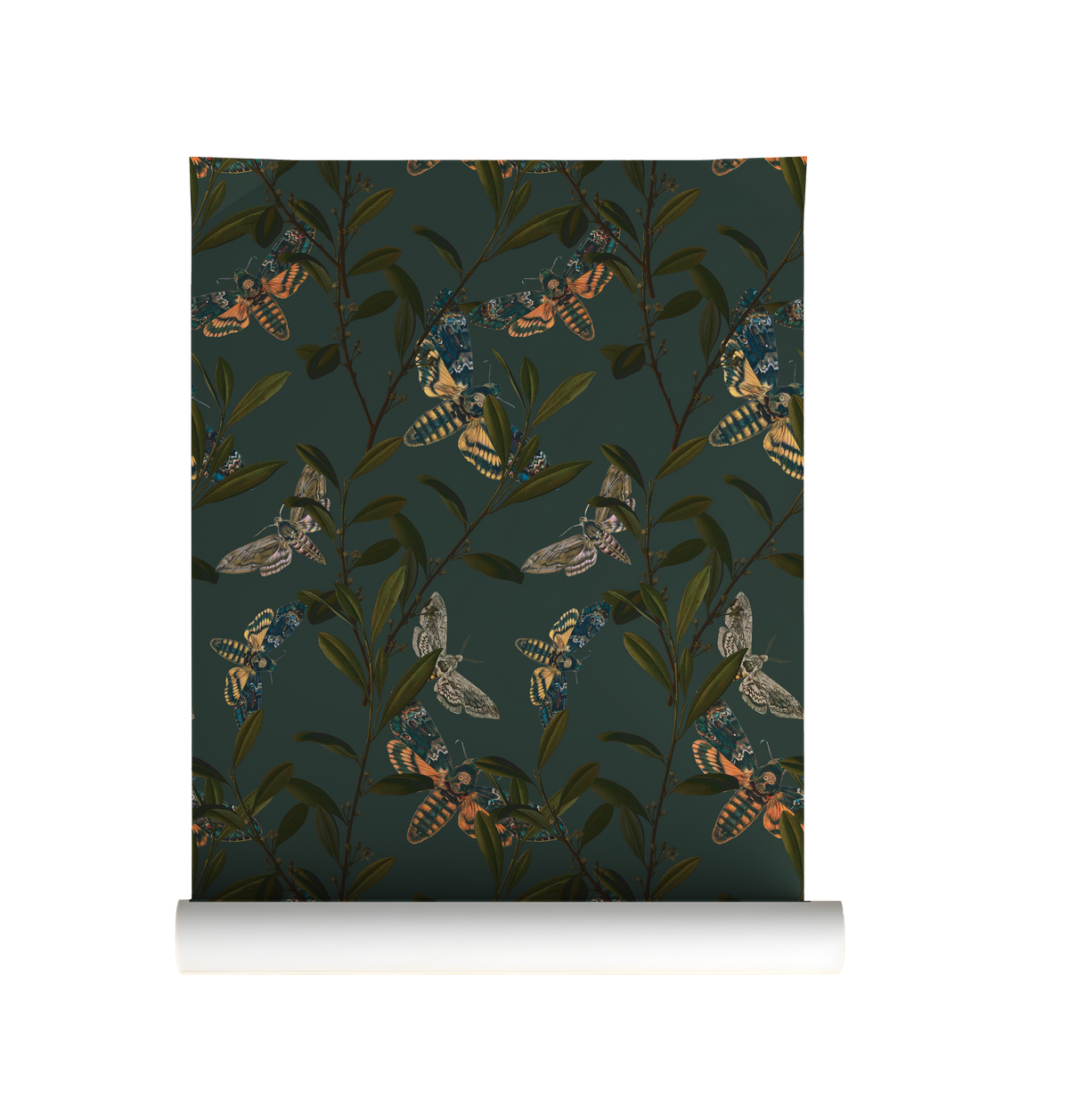 Peel and stick wallpaper with colorful moths and olive branches on a dark green background for folklore-inspired Cottagecore interior, on roll
