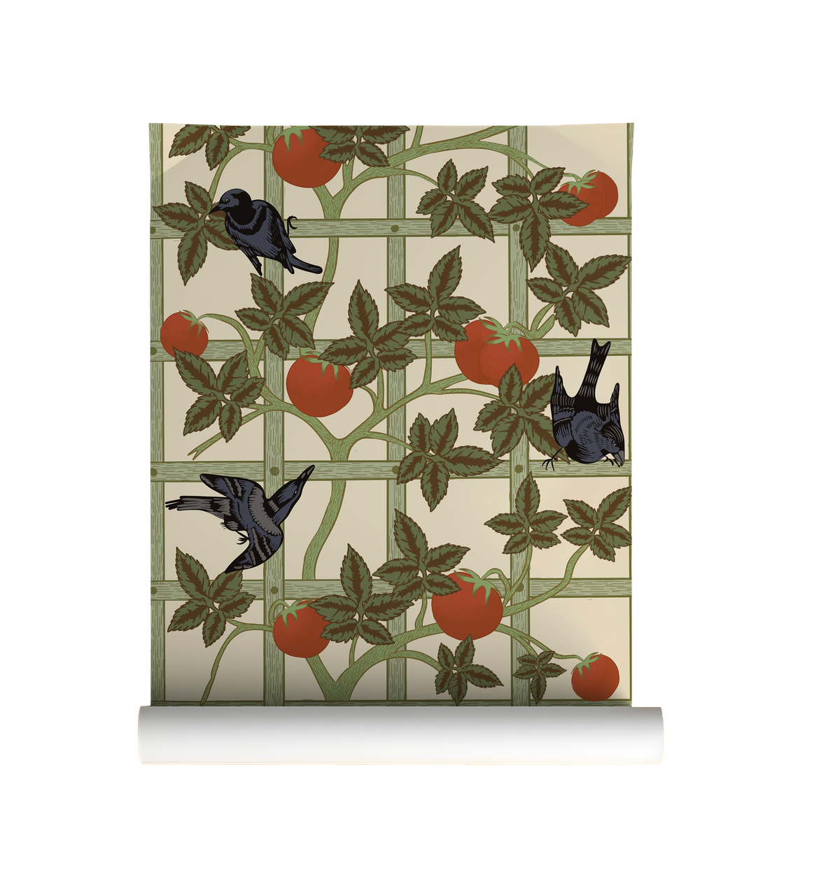 Vintage botanical wallpaper featuring black birds, red tomatoes and climbing green vines on a cream garden trellis on roll.