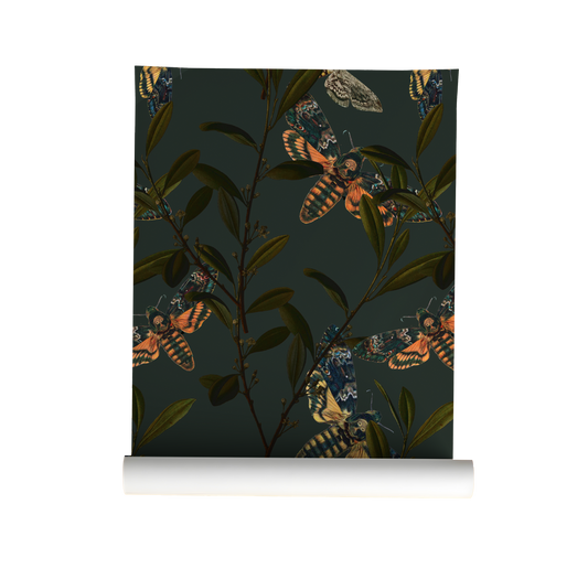 Hawk Moth Wallpaper